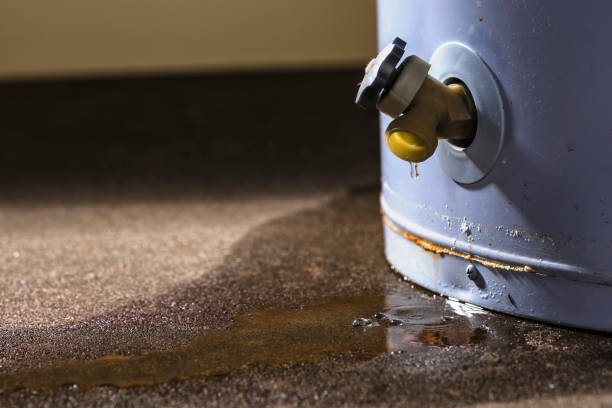 Best Residential water damage restoration  in Temesl Valley, CA