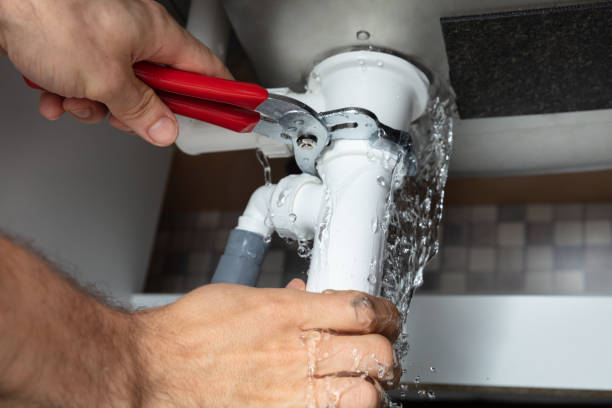 Best Professional water damage repair  in Temesl Valley, CA