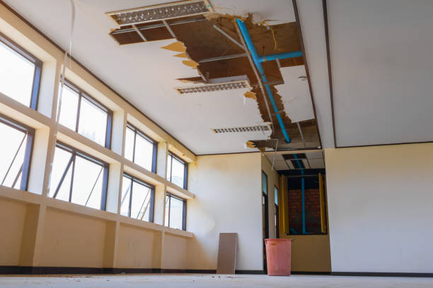 Best Carpet water damage restoration  in Temesl Valley, CA