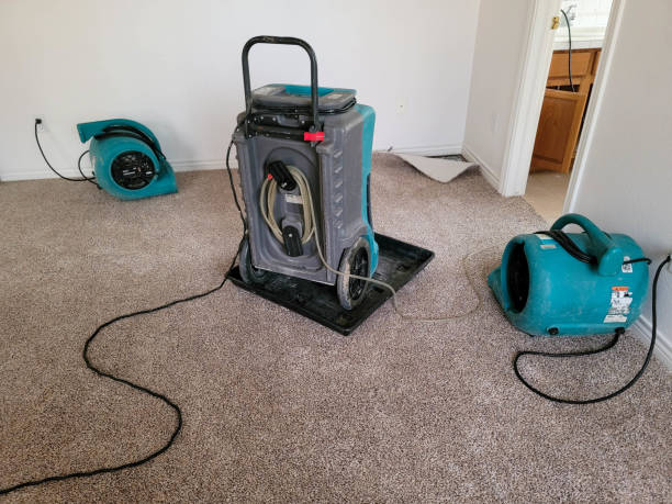Best Flood restoration services  in Temesl Valley, CA