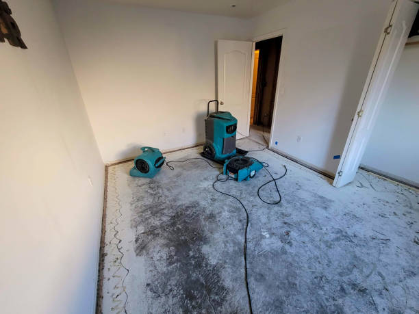 Best Professional water damage repair  in Temesl Valley, CA