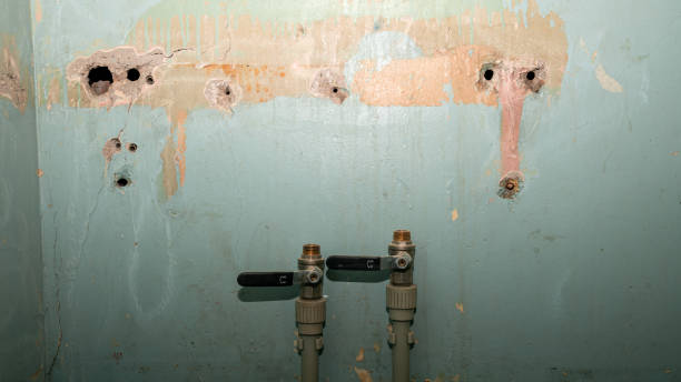 Best 24/7 water damage repair  in Temesl Valley, CA