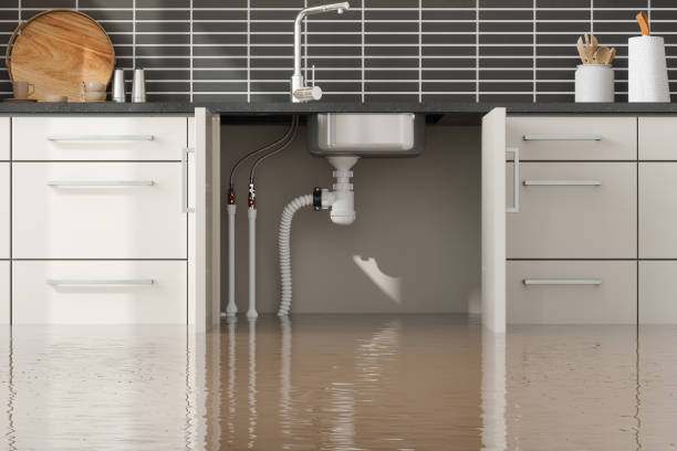 Best Local water damage restoration  in Temesl Valley, CA