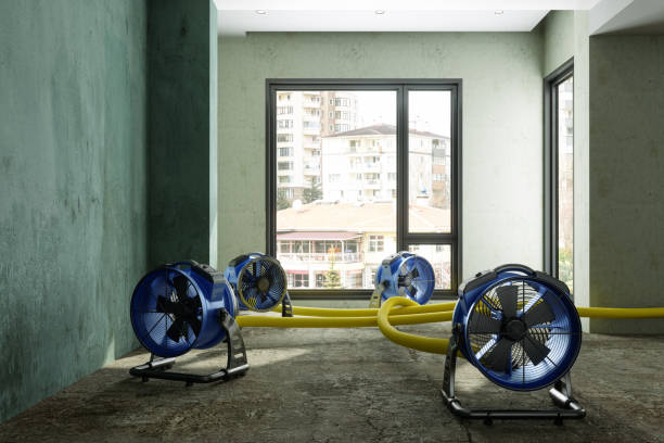 Best Fire Damage Restoration  in Temesl Valley, CA