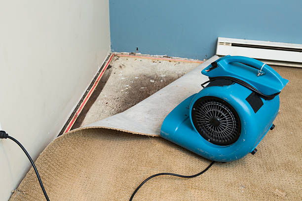 Best Emergency water damage restoration  in Temesl Valley, CA